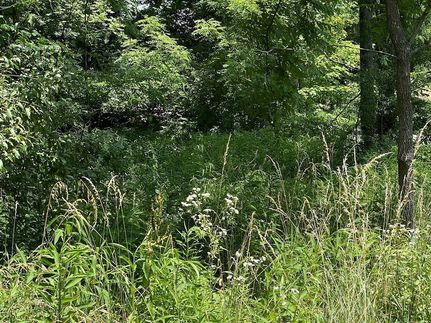 Farm Property for sale in Tazewell County, Virginia