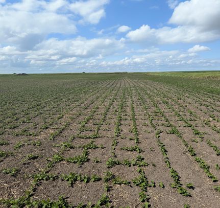 Farm Property for sale in Pierce County, North Dakota