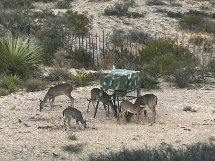 Farm Property for sale in Val Verde County, Texas