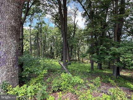Ranch Property for sale in Hampshire County, West Virginia