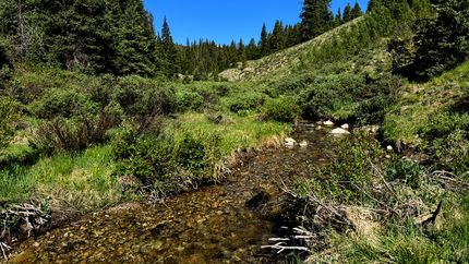 Undeveloped Land for sale in Gunnison County, Colorado