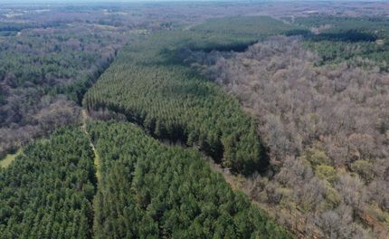 Timberland Property for sale in Marshall County, Mississippi