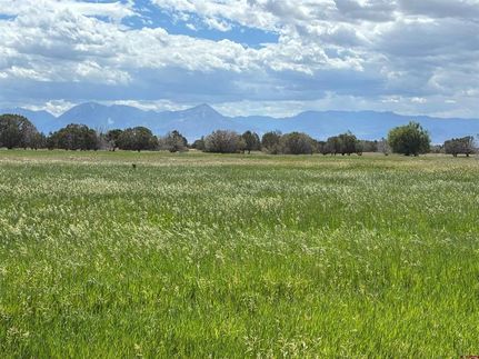 Timberland Property for sale in Delta County, Colorado