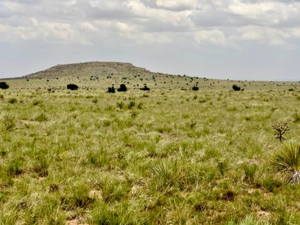 Farm Property for sale in Guadalupe County, New Mexico