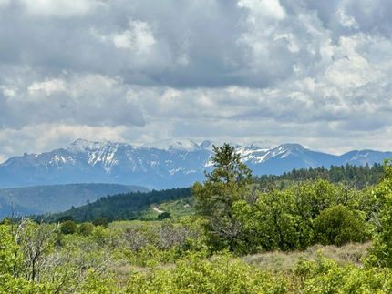 Timberland Property for sale in San Miguel County, Colorado