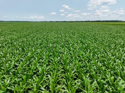 Farm Property for sale in Woodruff County, Arkansas
