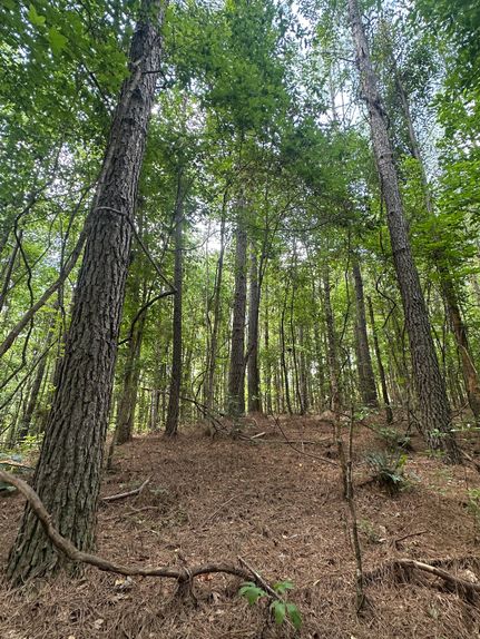 Ranch Property for sale in Tuscaloosa County, Alabama