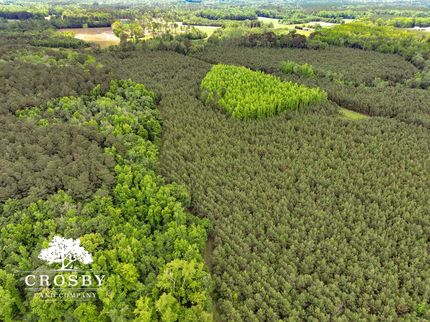 Ranch Property for sale in Orangeburg County, South Carolina