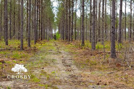 Ranch Property for sale in Colleton County, South Carolina