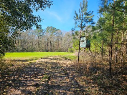 Farm Property for sale in Dale County, Alabama