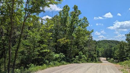 Ranch Property for sale in Webster County, Missouri