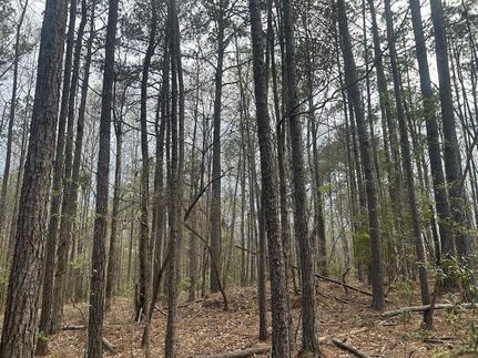 Farm Property for sale in Bibb County, Alabama