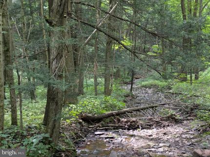 Undeveloped Land for sale in Bedford County, Pennsylvania