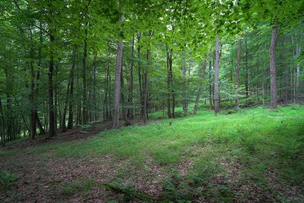 Recreational Property for sale in Fayette County, Pennsylvania