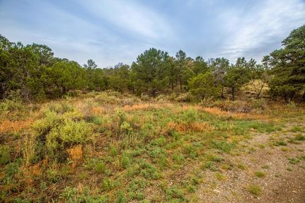 Property in Bernalillo County, New Mexico