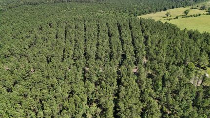 Recreational Property for sale in Winn Parish, Louisiana