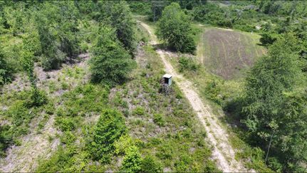Farm Property for sale in Dale County, Alabama
