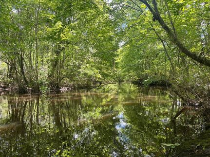Ranch Property for sale in Washington County, Georgia