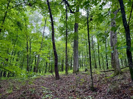 Residential Property for sale in Shelby County, Alabama