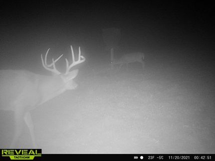 Ranch Property in Morgan County, Kentucky