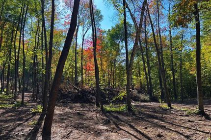 Property for sale in Morrison County, Minnesota