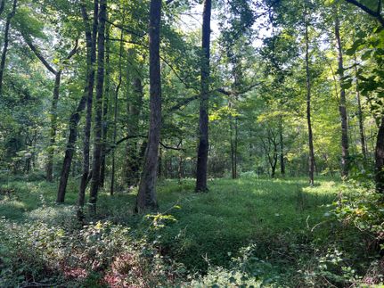 Farm Property for sale in Haralson County, Georgia