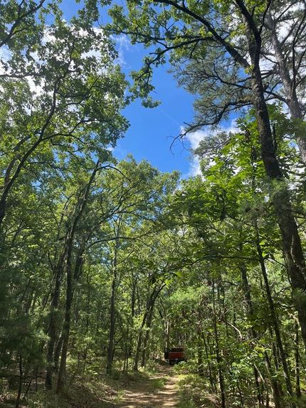 Residential Property for sale in Pushmataha County, Oklahoma