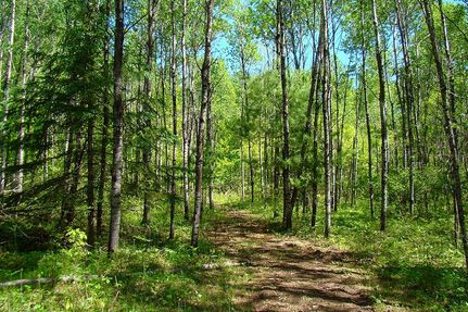 Farm Property for sale in Oneida County, Wisconsin