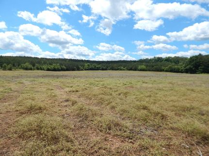 Undeveloped Land for sale in Cherokee County, Alabama