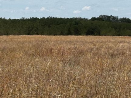 Farm Property for sale in Jackson County, Oklahoma