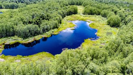 Farm Property for sale in Jackson County, Florida