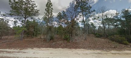 Recreational Property for sale in Putnam County, Florida