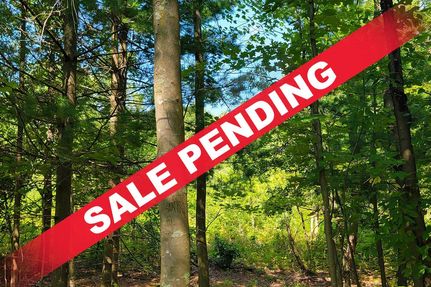 Timberland Property for sale in Dunn County, Wisconsin