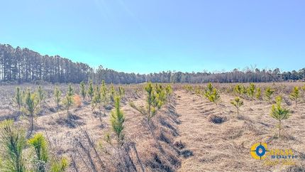 Farm Property for sale in Bulloch County, Georgia