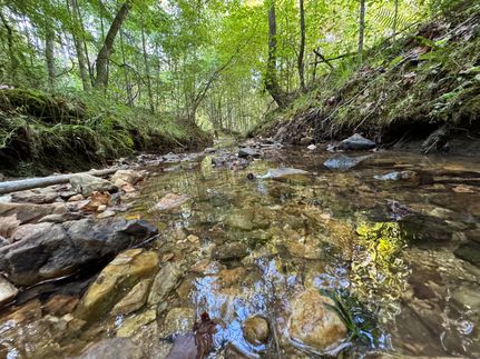 Undeveloped Land for sale in Tallapoosa County, Alabama