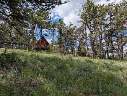 Hunting Land for sale in Larimer County, Colorado