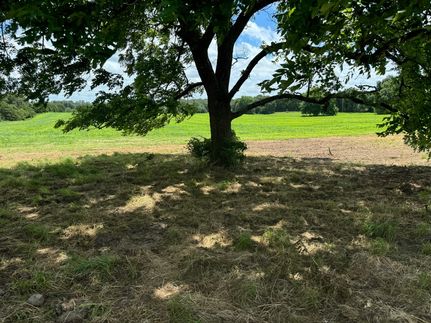Timberland Property in Laclede County, Missouri