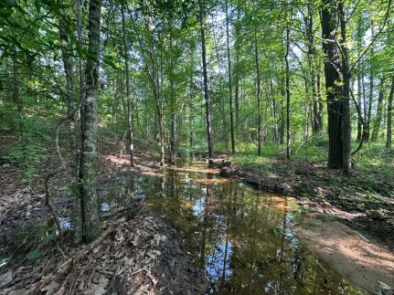 Hunting Land for sale in Bibb County, Alabama