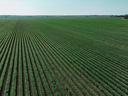 Farm Property for sale in Chicot County, Arkansas