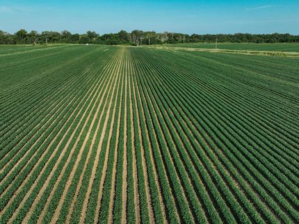 Farm Property for sale in Chicot County, Arkansas