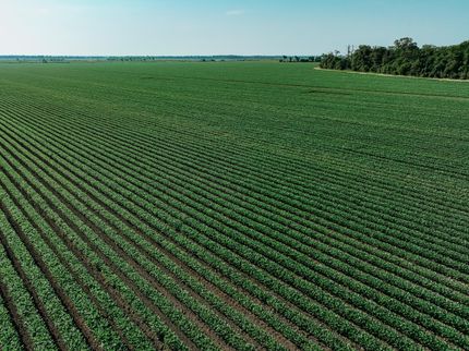 Farm Property for sale in Chicot County, Arkansas