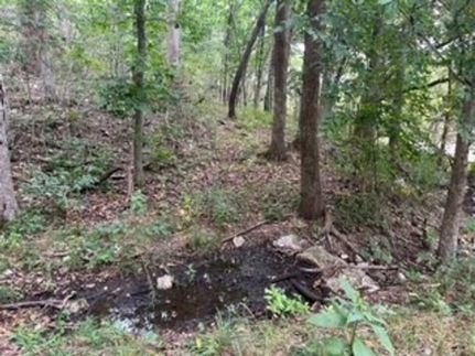 Farm Property for sale in Wright County, Missouri