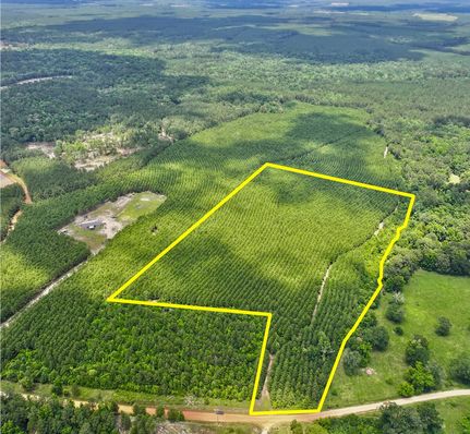 Farm Property in Polk County, Texas