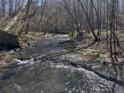 Ranch Property in Wayne County, Tennessee