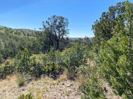 Ranch Property for sale in Otero County, New Mexico
