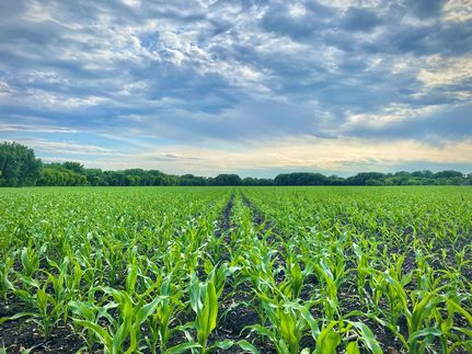 Farm Property for sale in Norman County, Minnesota