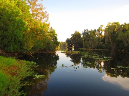 Farm Property for sale in Putnam County, Florida
