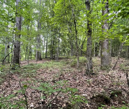 Farm Property for sale in Heard County, Georgia
