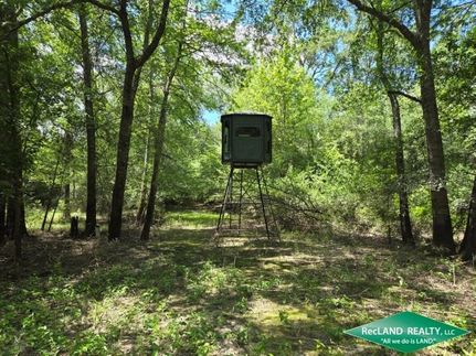Undeveloped Land for sale in Union Parish, Louisiana