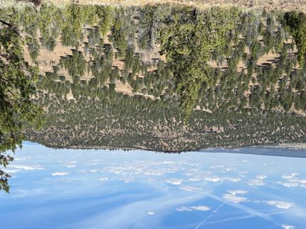 Timberland Property for sale in Modoc County, California
